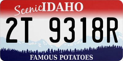 ID license plate 2T9318R
