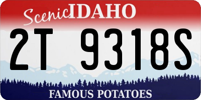 ID license plate 2T9318S