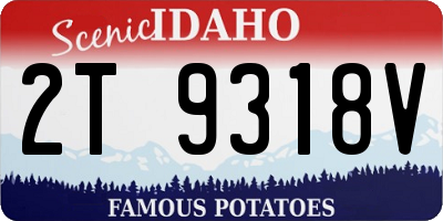 ID license plate 2T9318V