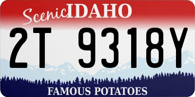 ID license plate 2T9318Y