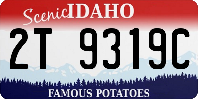 ID license plate 2T9319C