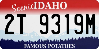 ID license plate 2T9319M