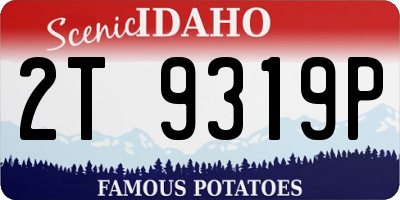 ID license plate 2T9319P