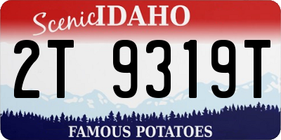 ID license plate 2T9319T