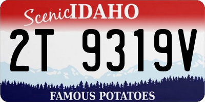 ID license plate 2T9319V