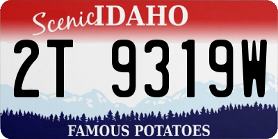 ID license plate 2T9319W