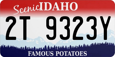 ID license plate 2T9323Y