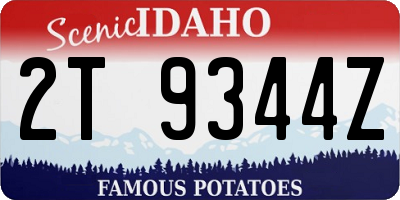ID license plate 2T9344Z