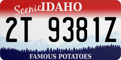 ID license plate 2T9381Z