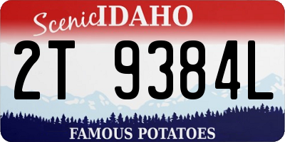 ID license plate 2T9384L