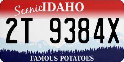 ID license plate 2T9384X