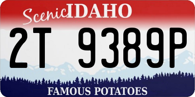 ID license plate 2T9389P