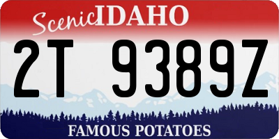 ID license plate 2T9389Z