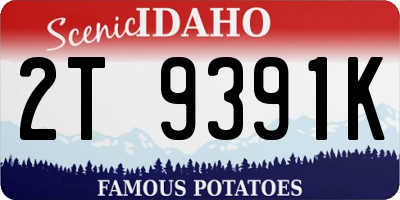 ID license plate 2T9391K
