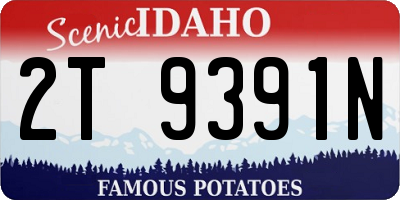 ID license plate 2T9391N