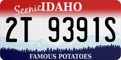 ID license plate 2T9391S