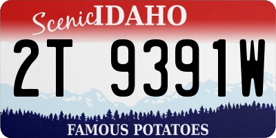 ID license plate 2T9391W