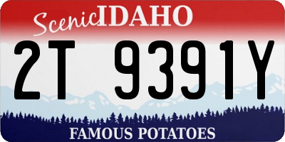 ID license plate 2T9391Y