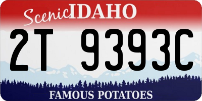 ID license plate 2T9393C