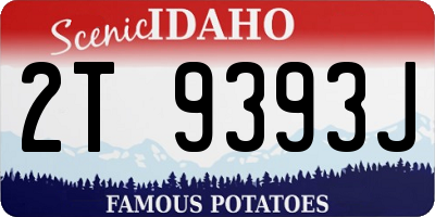 ID license plate 2T9393J