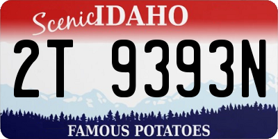 ID license plate 2T9393N