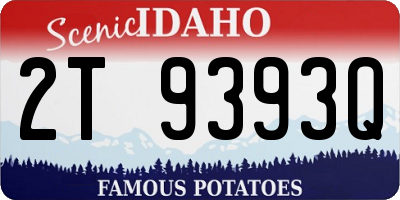 ID license plate 2T9393Q