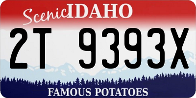 ID license plate 2T9393X