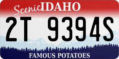 ID license plate 2T9394S