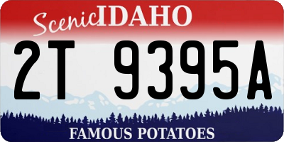 ID license plate 2T9395A