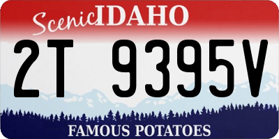 ID license plate 2T9395V