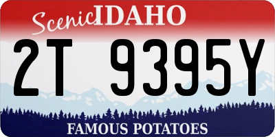 ID license plate 2T9395Y