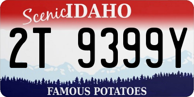 ID license plate 2T9399Y