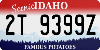 ID license plate 2T9399Z