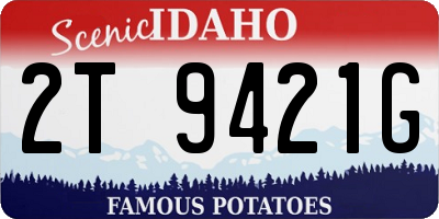 ID license plate 2T9421G