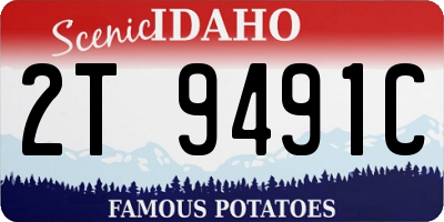 ID license plate 2T9491C