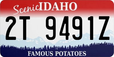 ID license plate 2T9491Z