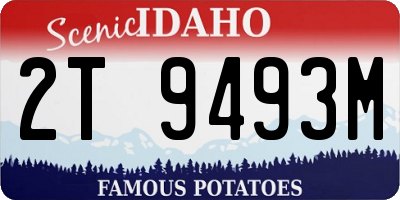 ID license plate 2T9493M