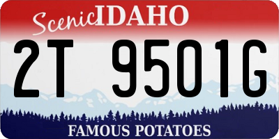ID license plate 2T9501G