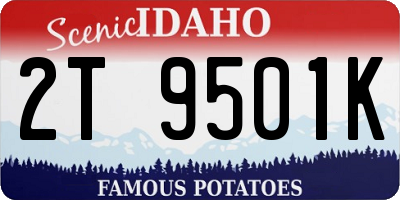 ID license plate 2T9501K