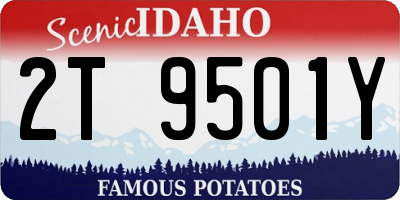 ID license plate 2T9501Y