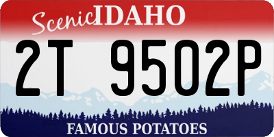 ID license plate 2T9502P