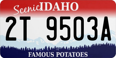 ID license plate 2T9503A
