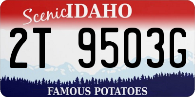 ID license plate 2T9503G