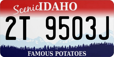 ID license plate 2T9503J
