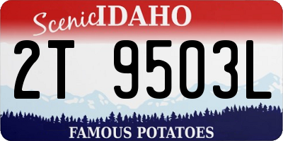 ID license plate 2T9503L