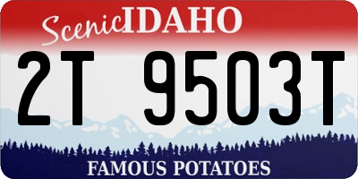 ID license plate 2T9503T