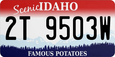 ID license plate 2T9503W