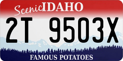 ID license plate 2T9503X