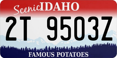 ID license plate 2T9503Z