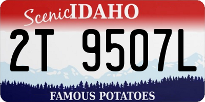 ID license plate 2T9507L